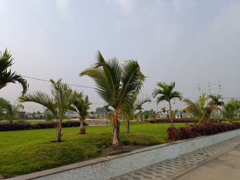 1000 Sq.ft. Residential Plot for Sale in Ujjain Road, Indore