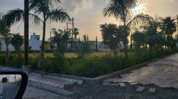 Residential Plot for Sale in Sanwer, Indore (1000 Sq.ft.)