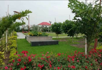 1000 Sq.ft. Residential Plot for Sale in Bhawrasla, Indore