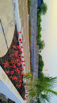Residential Plot for Sale in Magarkheda, Indore (600 Sq.ft.)