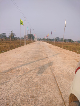 1015 Sq.ft. Residential Plot for Sale in Koni, Bilaspur