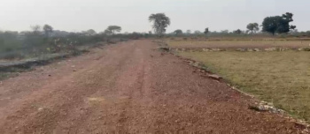 Property for sale in Chakarbhatha, Bilaspur