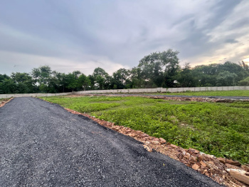 Property for sale in Koni, Bilaspur