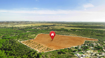 3 BHK Individual Houses for Sale in Koni, Bilaspur (1350 Sq.ft.)