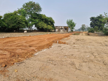 Residential Plot for Sale in Koni, Bilaspur (1250 Sq.ft.)