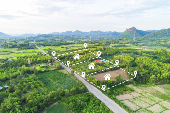 Residential Plot for Sale in Koni, Bilaspur (1250 Sq.ft.)