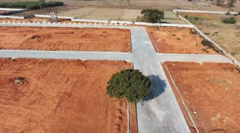 Residential Plot for Sale in Mopka, Bilaspur (1000 Sq.ft.)