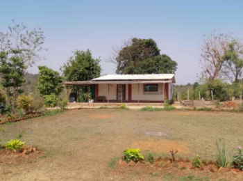 Farm House for Sale in Kota Road, Bilaspur (5 Acre)