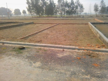 Property for sale in Khamtarai, Bilaspur