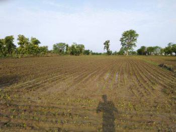 Residential Plot for Sale in Jivan Vihar, Raipur (36 Acre)