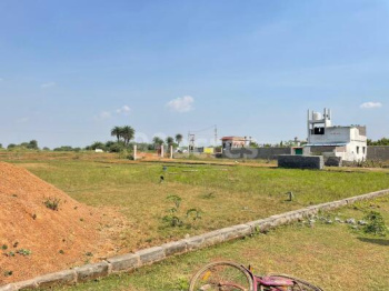 1850 Sq.ft. Residential Plot for Sale in Koni, Bilaspur
