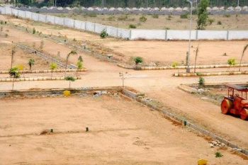 Residential Plot for Sale in Rajkishore Nagar, Bilaspur (1052 Sq.ft.)