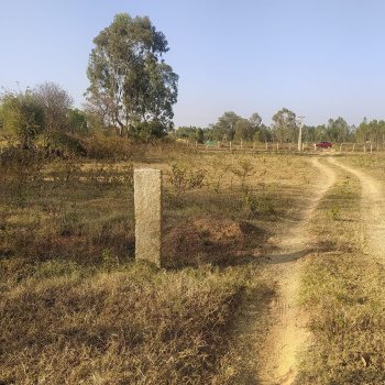 86 Acre Residential Plot for Sale in Kharsia, Raigarh