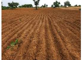 Property for sale in Kharsia, Raigarh