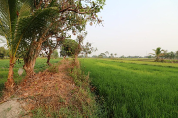 96 Acre Residential Plot for Sale in Gharghoda, Raigarh