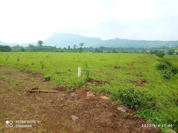 36 Acre Agricultural/Farm Land for Sale in Kota Bilaspur, Bilaspur