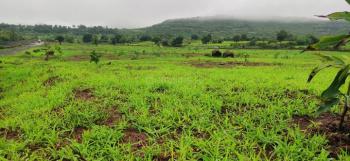 Property for sale in Kota Bilaspur
