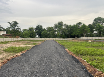 Residential Plot for Sale in Koni, Bilaspur (2601 Sq.ft.)