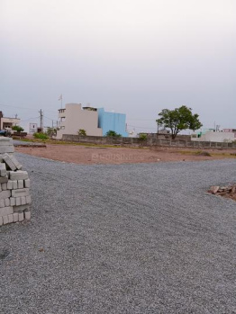 Residential Plot for Sale in Mopka, Bilaspur (1200 Sq.ft.)