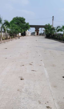 Residential Plot for Sale in Sakri, Bilaspur (1250 Sq.ft.)