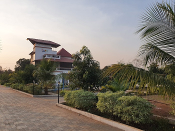6010 Sq.ft. Residential Plot for Sale in Kota Bilaspur, Bilaspur