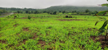 Residential Plot for Sale in Kota Road, Bilaspur (36 Acre)