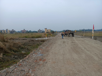 Residential Plot for Sale in Mopka, Bilaspur (1500 Sq.ft.)