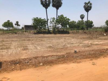 Residential Plot for Sale in Ashok Nagar, Bilaspur (850 Sq.ft.)