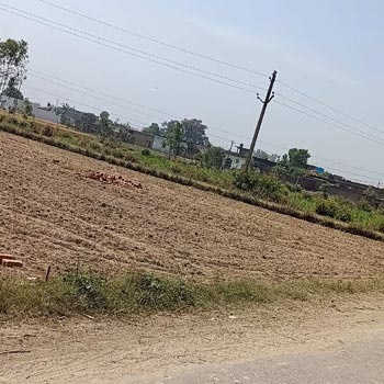 Residential Plot for Sale in Mainpat Road, Surguja (10 Dismil)
