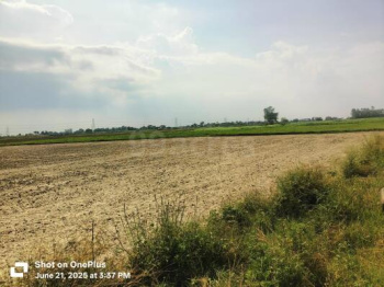 Agricultural/Farm Land for Sale in Kota Road, Bilaspur (2 Acre)