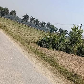 Property for sale in Mopka, Bilaspur