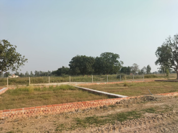 Residential Plot for Sale in Mopka, Bilaspur (1500 Sq.ft.)