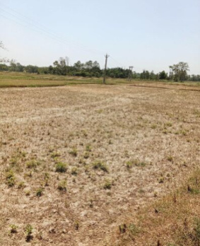 Property for sale in Seepat Road, Bilaspur