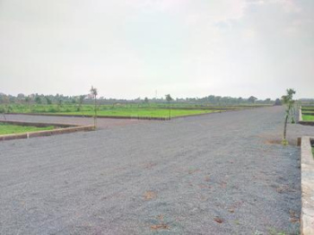 Residential Plot for Sale in Sakri, Bilaspur (1000 Sq.ft.)