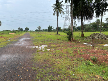 Residential Plot for Sale in Mopka, Bilaspur (2000 Sq.ft.)