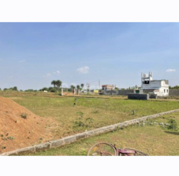 Residential Plot for Sale in Mopka, Bilaspur (1200 Sq.ft.)