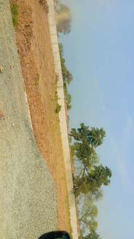 Residential Plot for Sale in Koni, Bilaspur (1500 Sq.ft.)