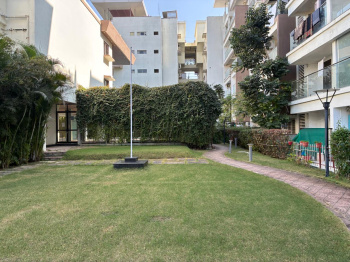 3.5 BHK Flats & Apartments for Sale in Rajkishore Nagar, Bilaspur (1848 Sq.ft.)