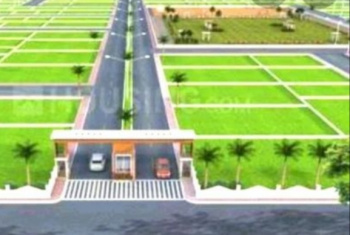 Residential Plot for Sale in Koni, Bilaspur (1347 Sq.ft.)