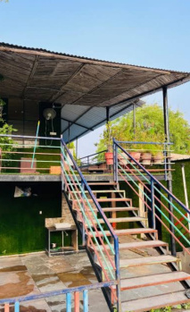 8 BHK Farm House for Sale in Kota Bilaspur, Bilaspur (1100 Sq.ft.)