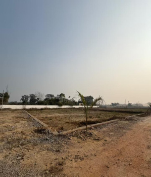 Residential Plot for Sale in Koni, Bilaspur (1389 Sq.ft.)