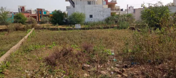 Residential Plot for Sale in Mopka, Bilaspur (959 Sq.ft.)