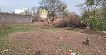 Residential Plot for Sale in Mopka, Bilaspur (1253 Sq.ft.)