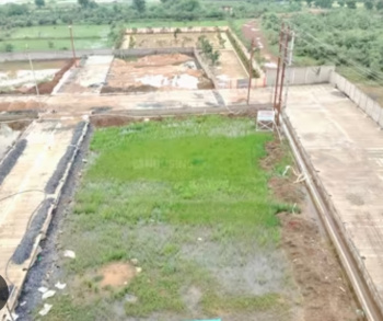Residential Plot for Sale in Mopka, Bilaspur (1252 Sq.ft.)