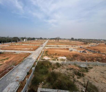 Residential Plot for Sale in Koni, Bilaspur (1250 Sq.ft.)