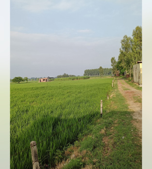 Residential Plot for Sale in Ratanpur, Bilaspur (5000 Sq.ft.)