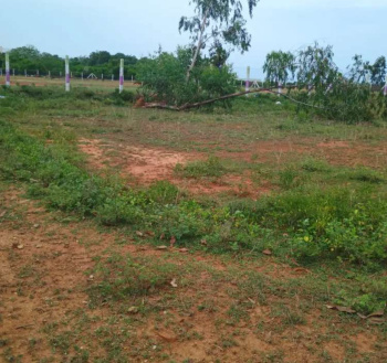 Residential Plot for Sale in Mopka, Bilaspur (3420 Sq.ft.)