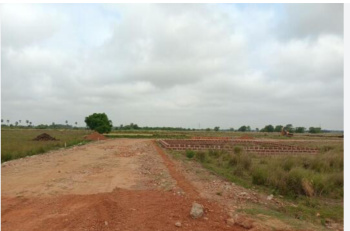 Residential Plot for Sale in Mopka, Bilaspur (3420 Sq.ft.)