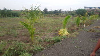 Plots in Ranjaongaon near Karade MIDC