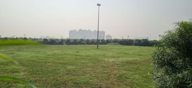 125 Sq. Yards Residential Plot for Sale in Sector 24, Dharuhera